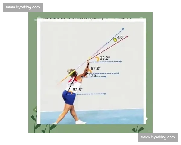 全面提升运动表现与健康管理的实用技巧，助你成为更强大的体育爱好者