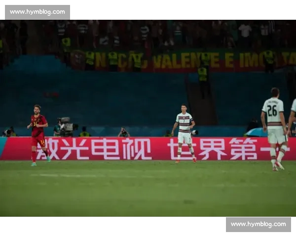 体育新闻全覆盖，实时赛事资讯与明星动态一站式掌握